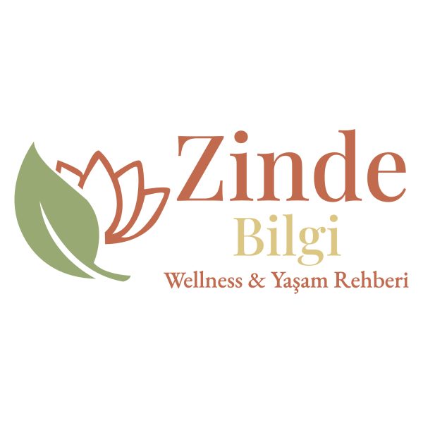 Zinde Bilgi